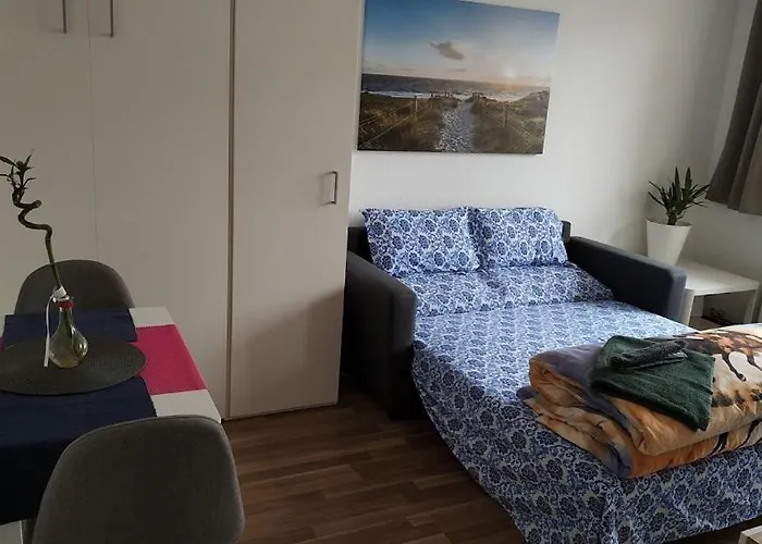 Your Second Home-5 アパート ジンデルフィンゲン